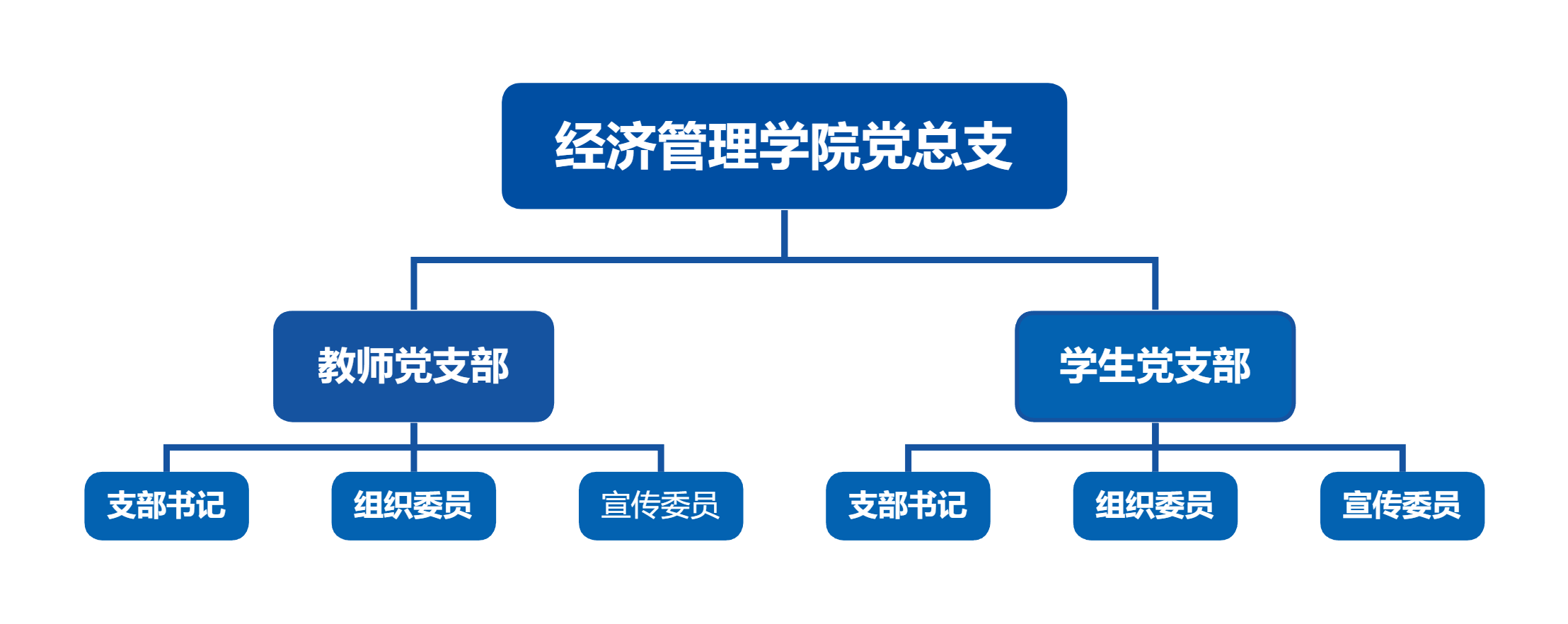 经济管理学院党总支.png